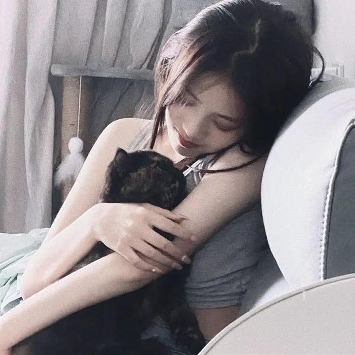 萌鸡小队:萌闯新世界